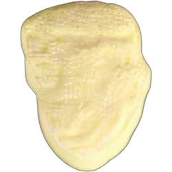 Таблетка Trump — MDMA — Швейцарія