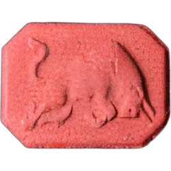 Таблетка Red Bull — MDMA — Швейцарія