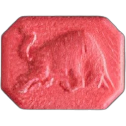 Таблетка Red Bull — MDMA — Швейцарія