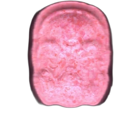 Таблетка Anonymous — MDMA 174mg — Madrid, Іспанія