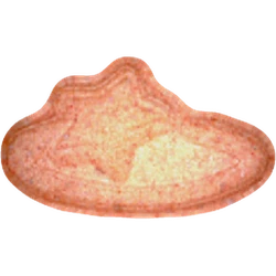 Таблетка Pop Smoke — MDMA 93mg — Vienna, Austria