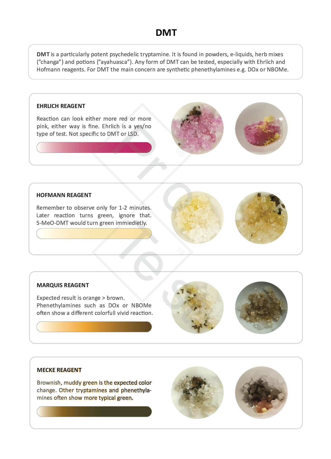 Instructions for testing DMT