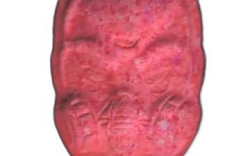 Таблетки Anonymous (Ecstasy / MDMA)