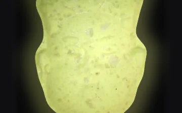 Таблетки NL (Ecstasy / MDMA)