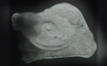Таблетки Tocadiscos (Ecstasy / MDMA)
