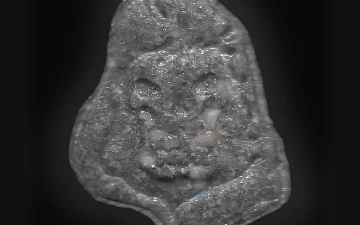 Таблетки Leon (Ecstasy / MDMA)