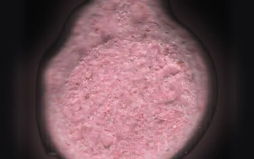 Таблетки Burguer King (Ecstasy / MDMA)