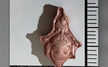 Таблетки Tingle (2C-B)