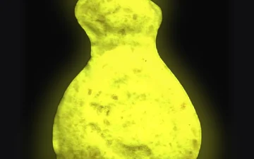 Таблетки Dollar (Ecstasy / MDMA)