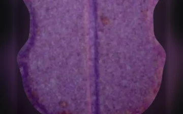 Таблетки FC Barcelona (Ecstasy / MDMA)