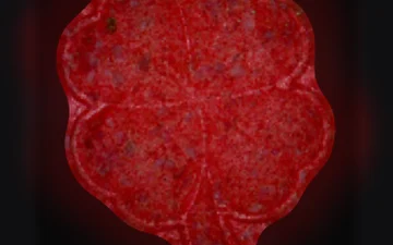 Таблетки Four-Leaf Clover (Ecstasy / MDMA)
