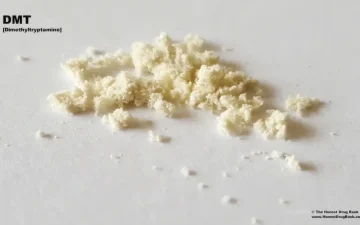 Порошок DMT