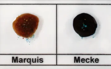 Виявити амфетамін або метамфетамін у MDMA