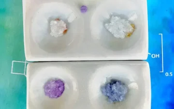 Як тестувати похідні LSD?