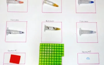 Тестування гелевих марок LSD реагентами Ehrlich і Hofmann: таблиця кольорів
