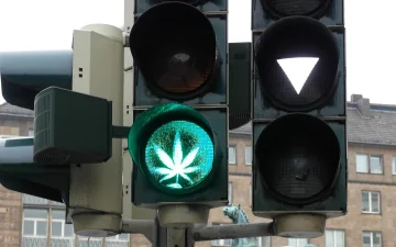Що містять канабісні та CBD-продукти?
