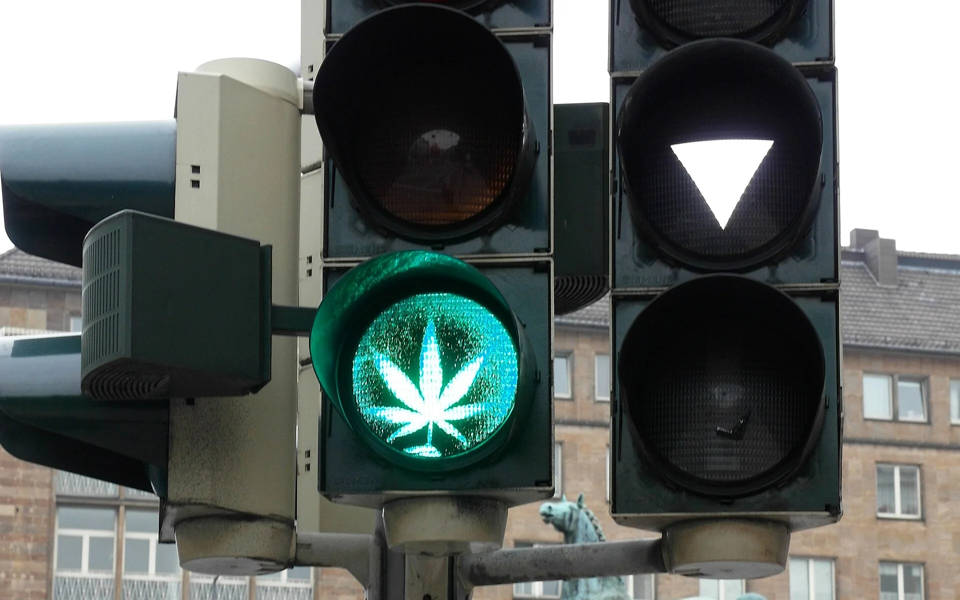 Що містять канабісні та CBD-продукти?