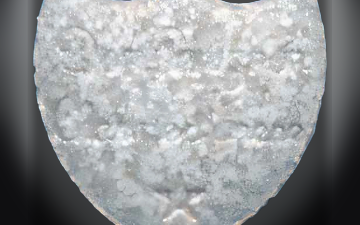Таблетки Botella De Champagne (Ecstasy / MDMA)