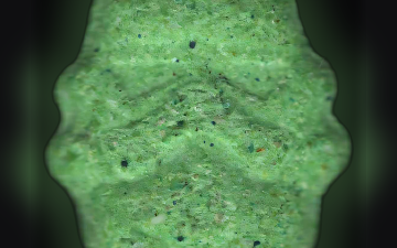 Таблетки Stormtrooper (Ecstasy / MDMA)