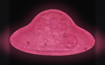 Таблетки UFO (2C-B)